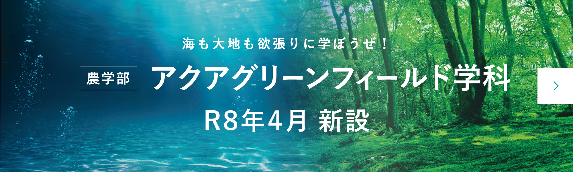 農学部アクアグリーンフィールド学科